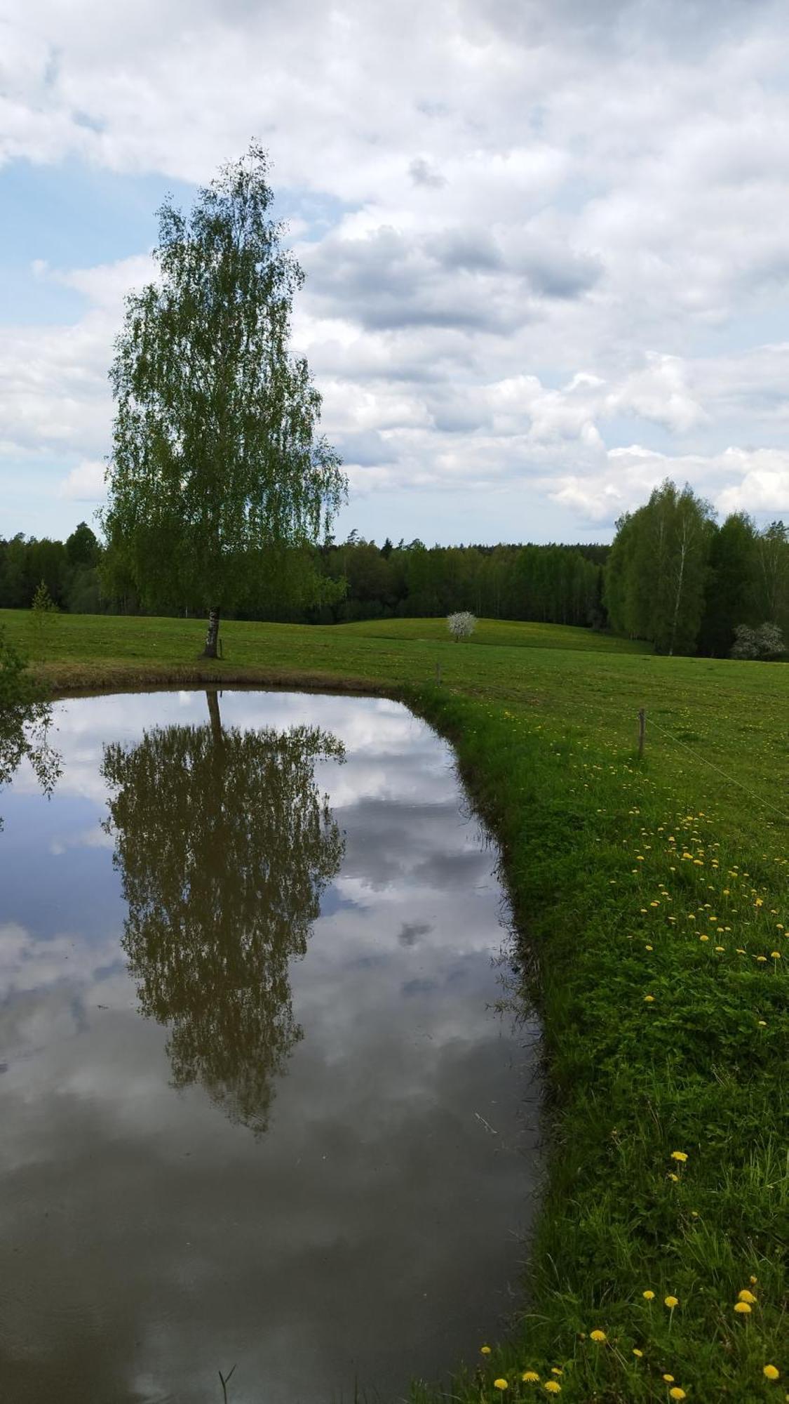 Guesthouse, Sauna & Jacuzzi In Gauja Valley - Kakukalns Straupe Dış mekan fotoğraf