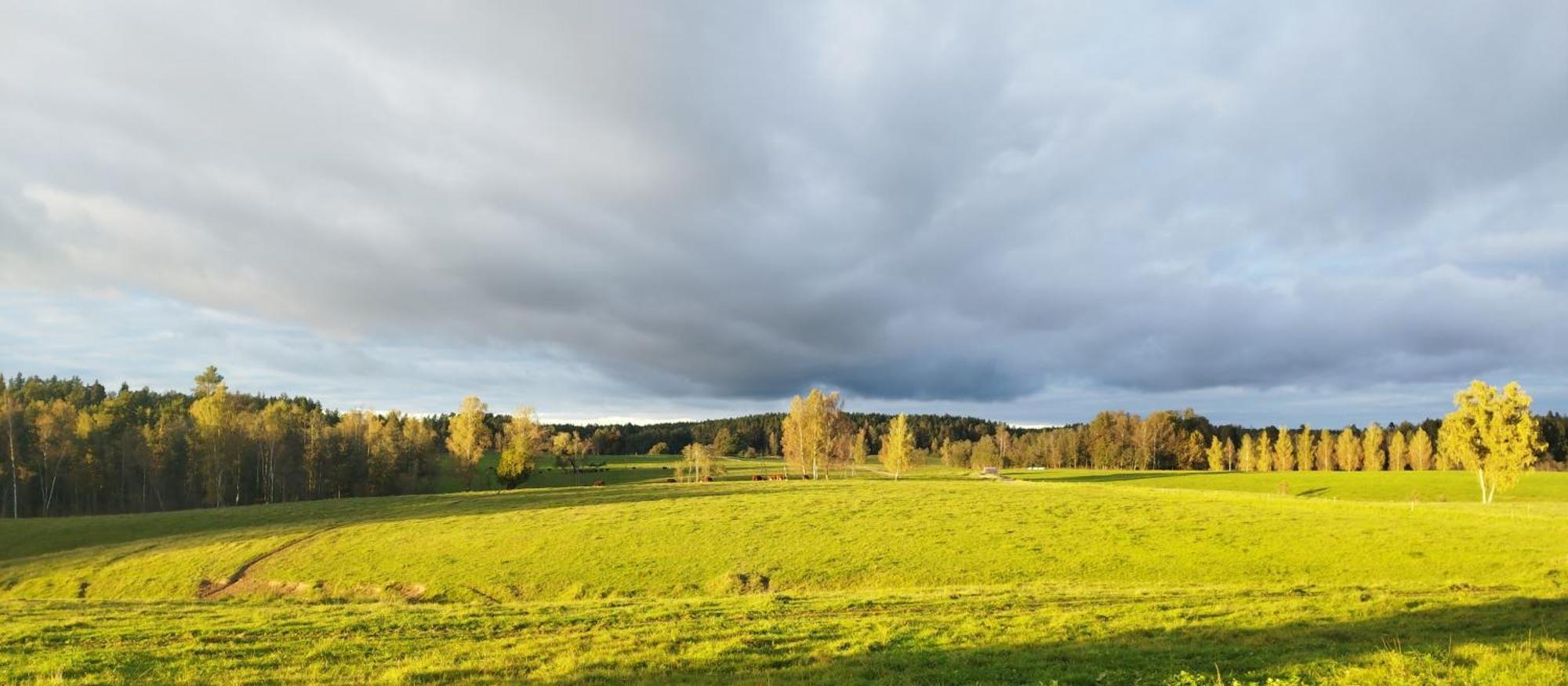 Guesthouse, Sauna & Jacuzzi In Gauja Valley - Kakukalns Straupe Dış mekan fotoğraf